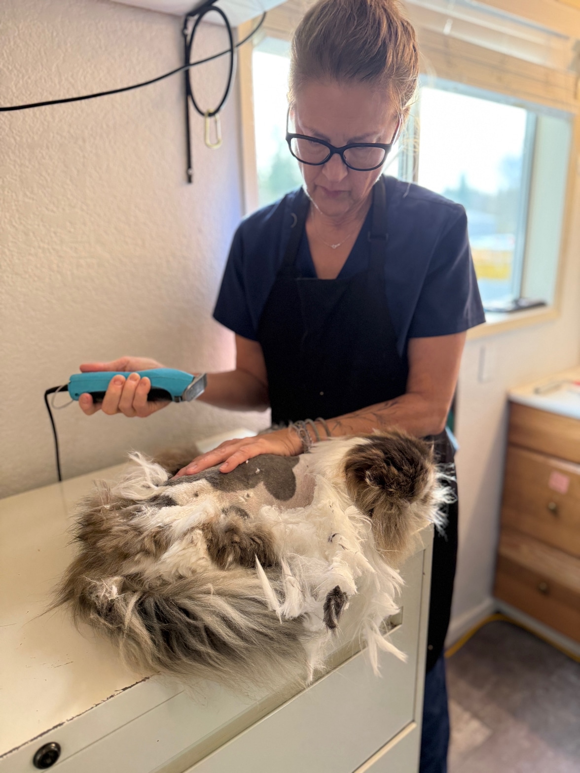 Grooming Services