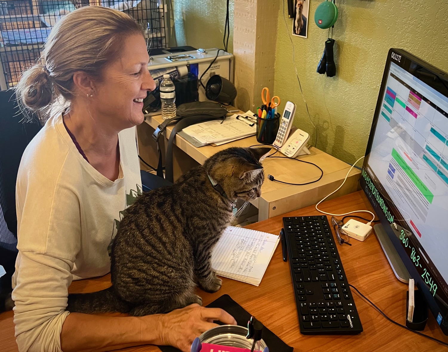 Cozy Cat Boarding - Staff member with a boarder cat at the desk